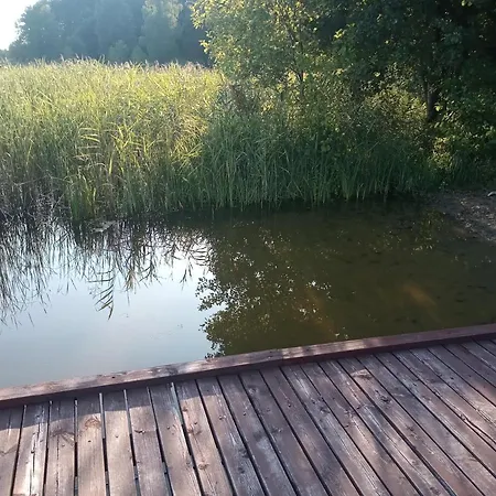 Zalesie Z Pomostem I