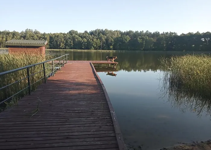 Дом отдыха Zalesie Z Pomostem I *