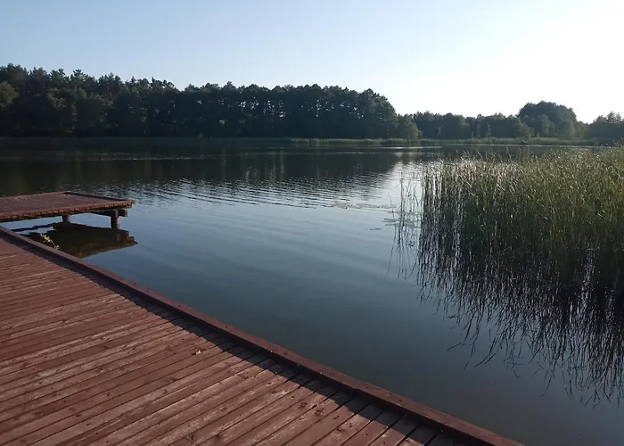 Zalesie Z Pomostem I * Барчево